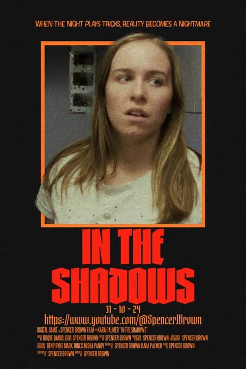 Постер «In The Shadows»