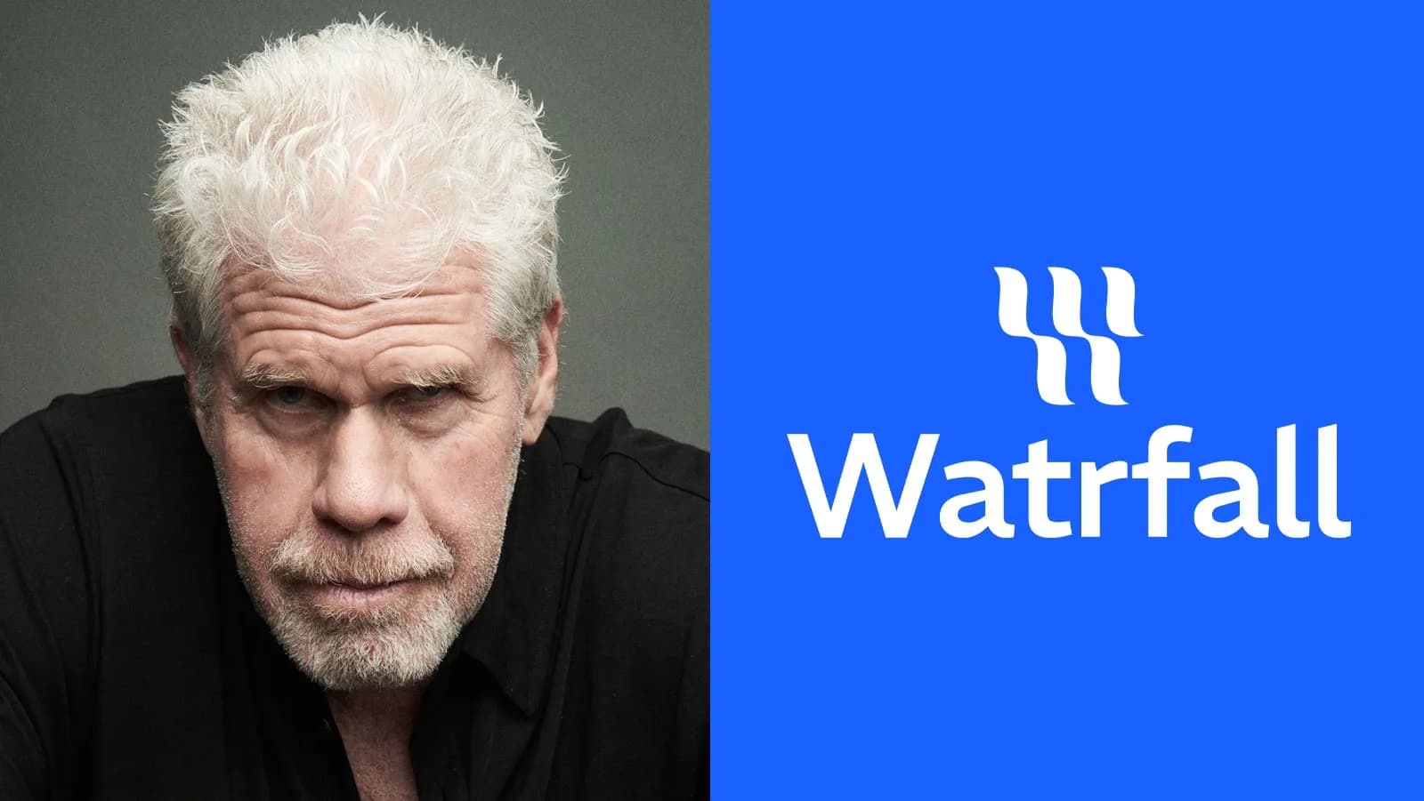 Ілюстрація до матеріалу «Платформа Watrfall актора Рона Перлмана запустила фонд на $275 тисяч із глядацьким голосуванням»